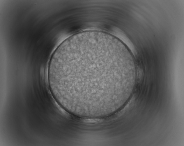 X0000087061290200705161004