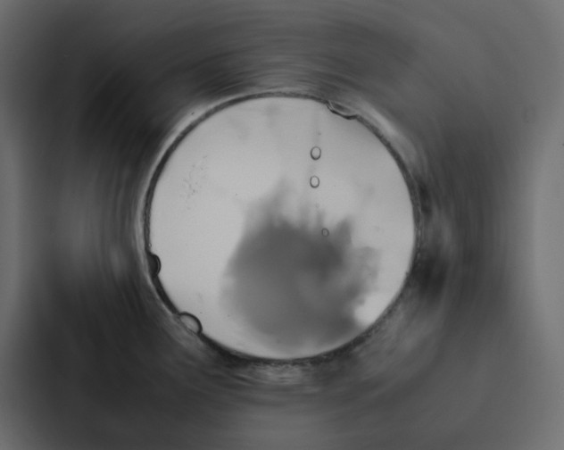 X0000087061291200705161004