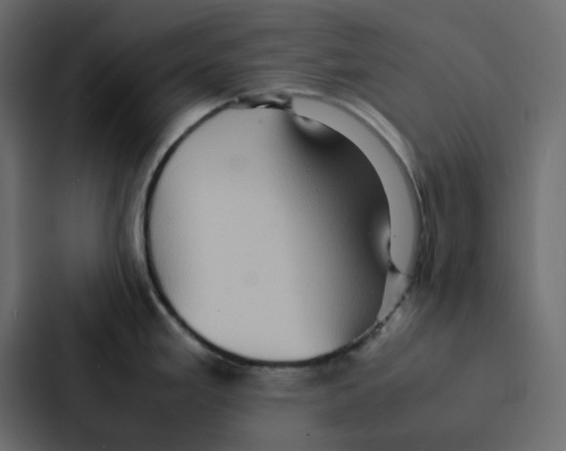 X0000087061293200705161004