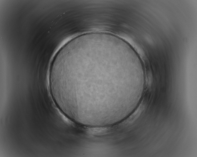 X0000087061294200705161004