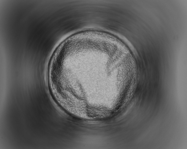 X0000087061295200705161004