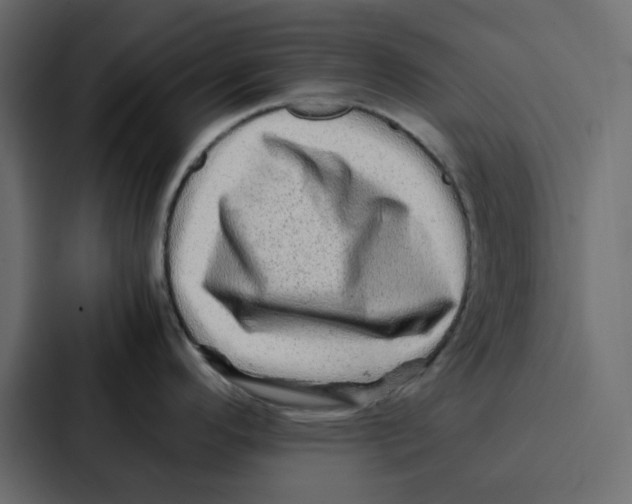 X0000087061296200705161004