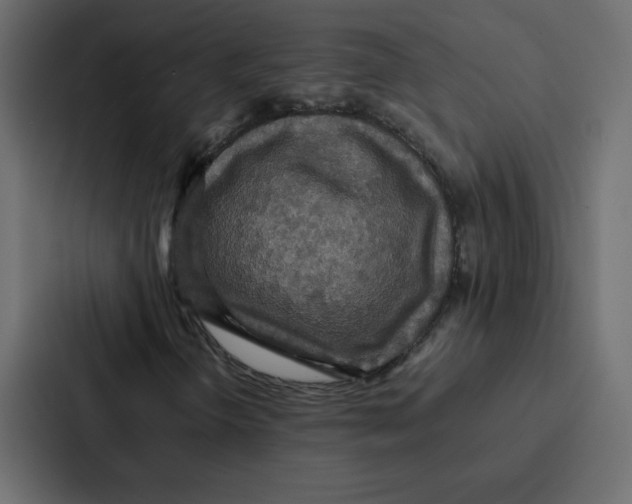 X0000087061298200705161003