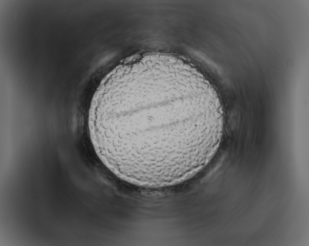 X0000087061302200705161003