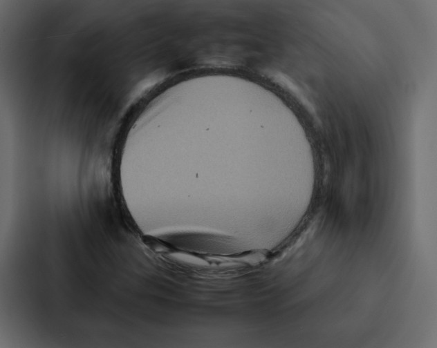 X0000087061307200705161003