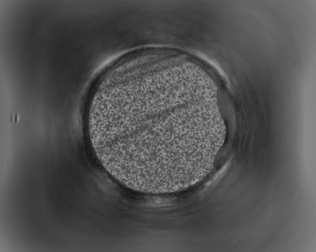 X0000087061311200705161004