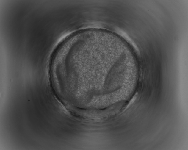 X0000087061312200705161004