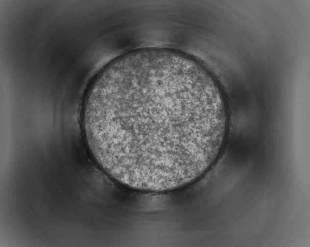 X0000087061314200705161004