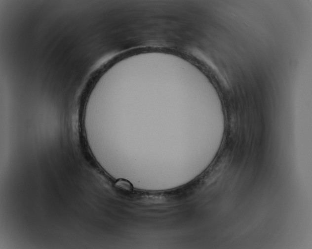 X0000087061315200705161004