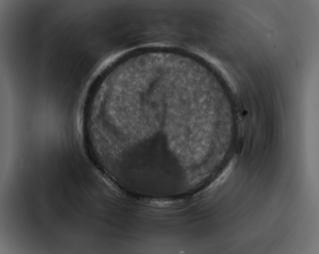 X0000087061319200705161004