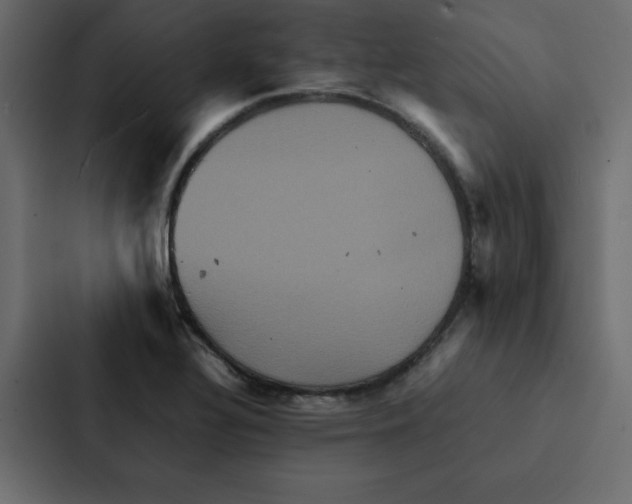 X0000087061320200705161004