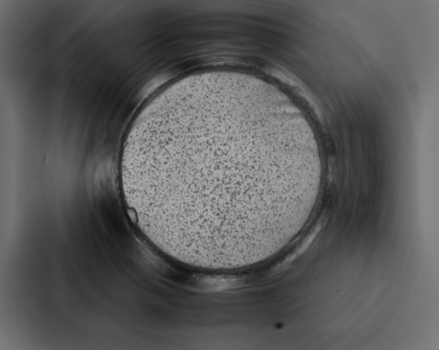 X0000087061321200705161004