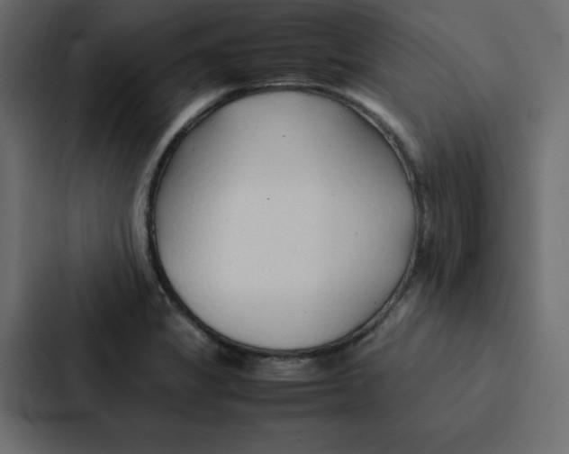 X0000087061325200705161004