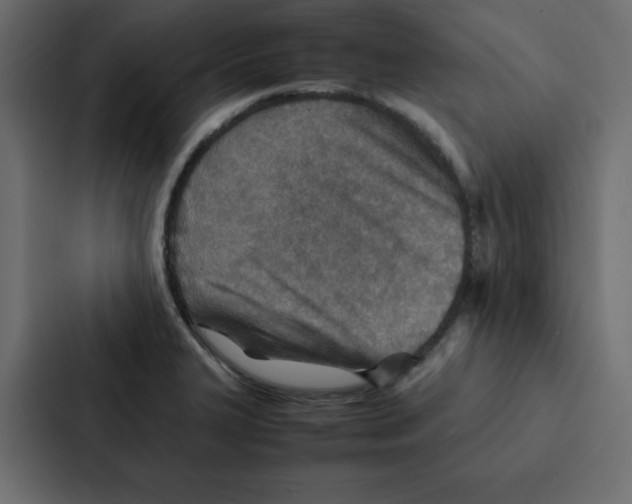 X0000087061327200705161004