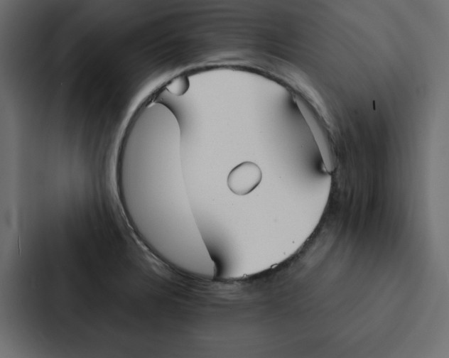 X0000087061328200705161004