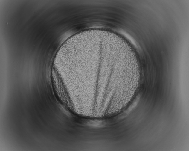 X0000087061329200705161004