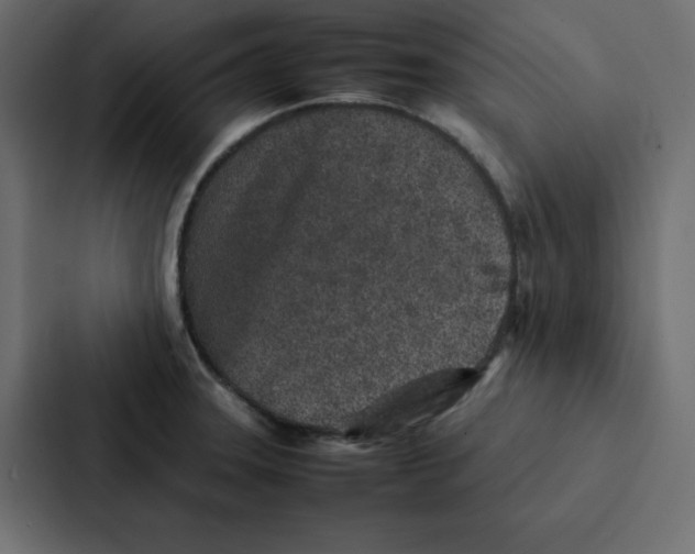 X0000087061331200705161004