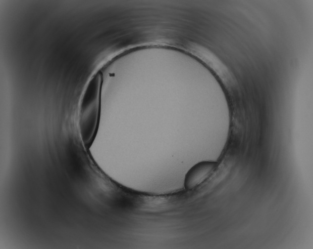 X0000087061332200705161004