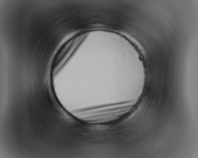 X0000087061333200705161004