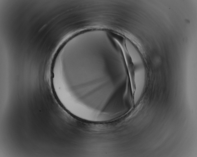 X0000087061334200705161004