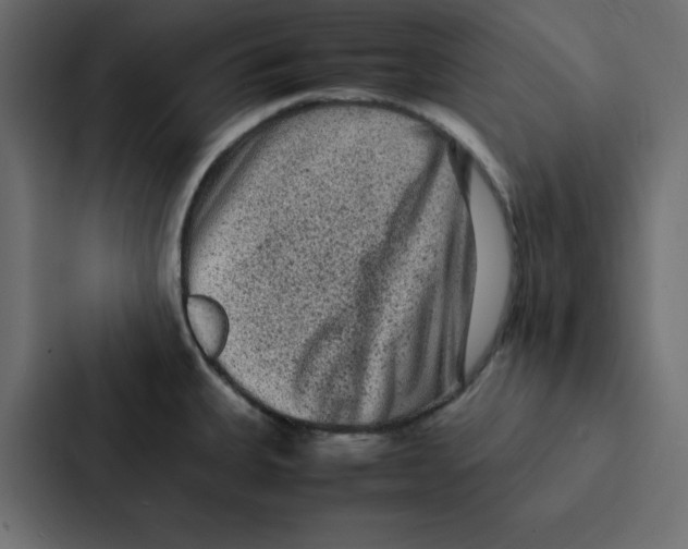 X0000087061335200705161004