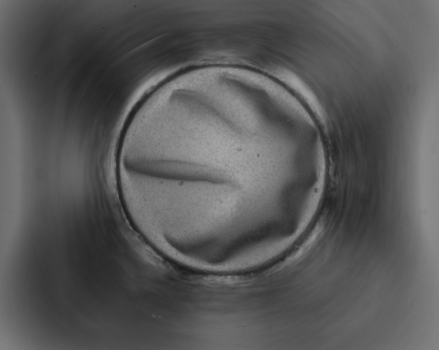 X0000087061336200705161004