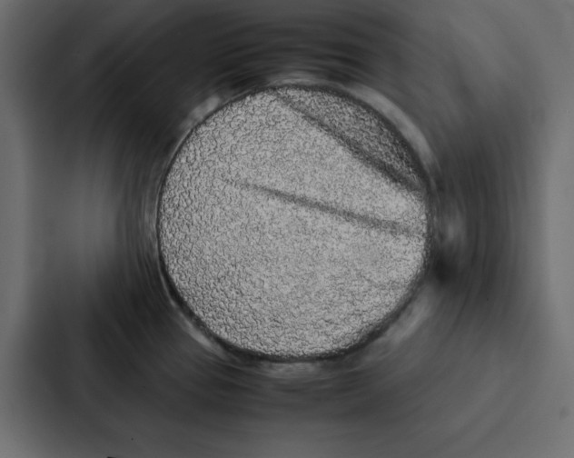 X0000087061337200705161004