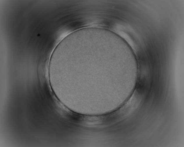 X0000087061338200705161004