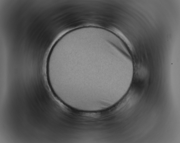 X0000087061339200705161004