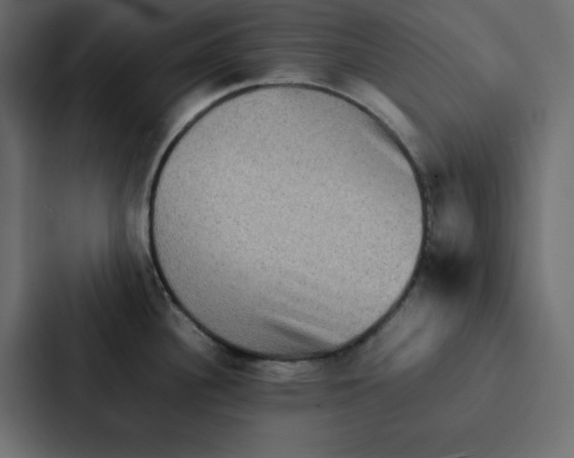 X0000087061340200705161004