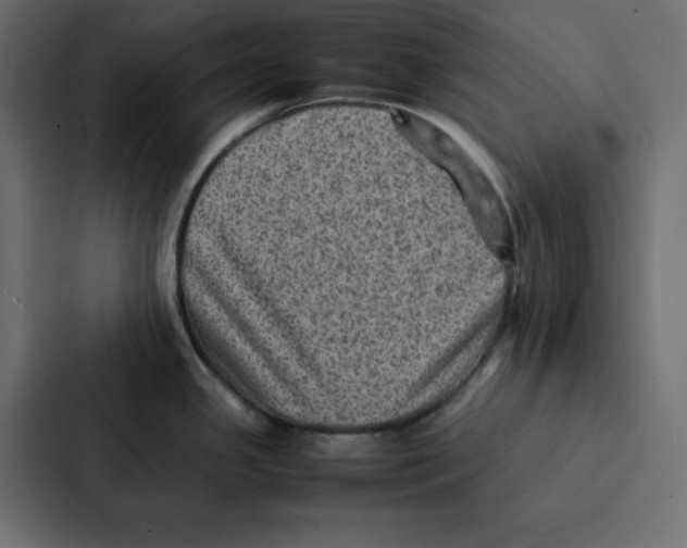 X0000087061341200705161004