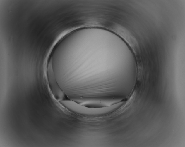 X0000087061342200705161004