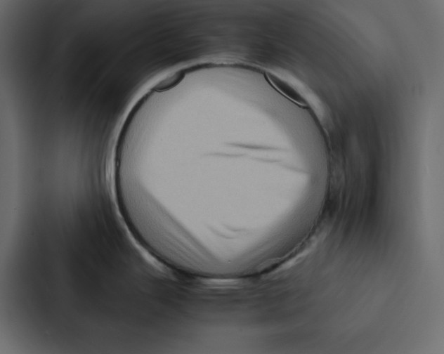 X0000087061343200705161004