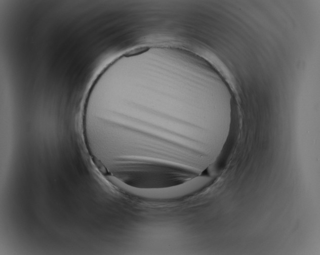 X0000087061344200705161004