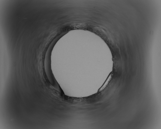 X0000087061345200705161003