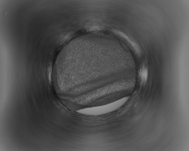 X0000087061348200705161003