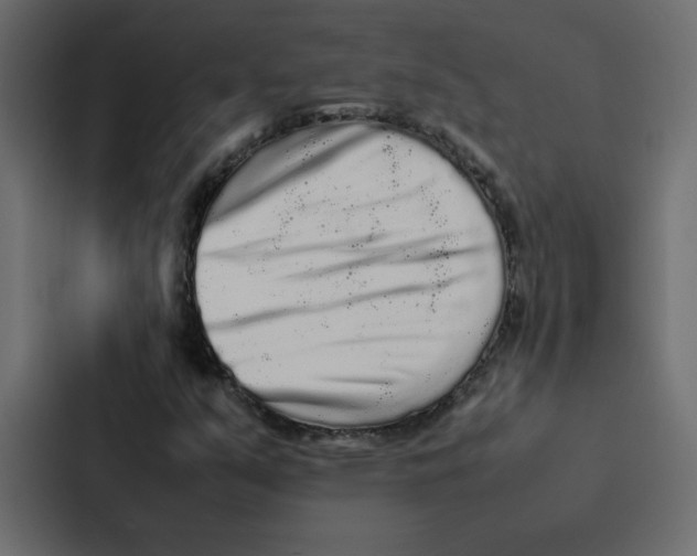 X0000087061351200705161003