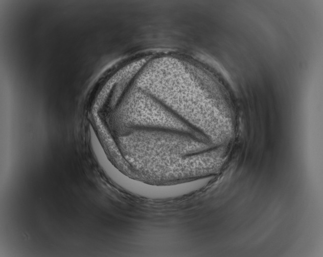 X0000087061352200705161003