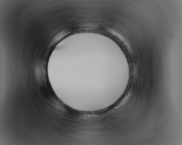 X0000087061354200705161003