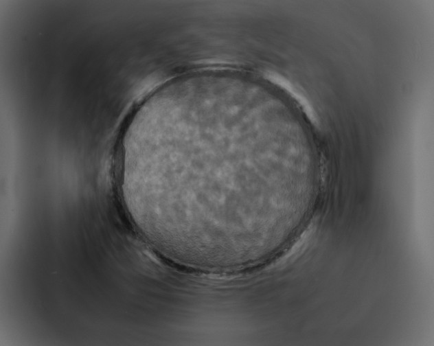 X0000087061357200705161003