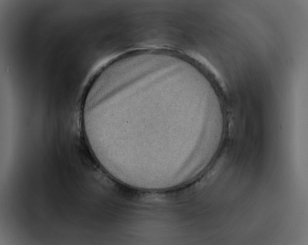 X0000087061358200705161003