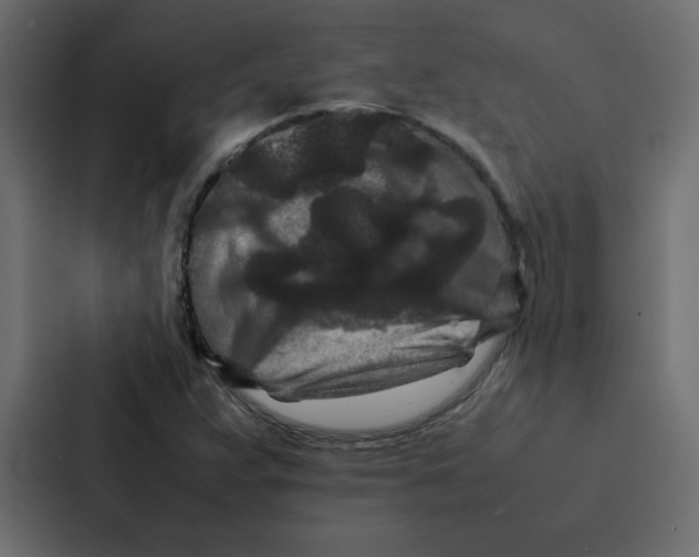 X0000087061359200705161003