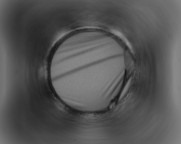 X0000087061360200705161003