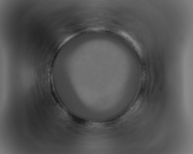 X0000087061361200705161003