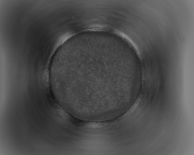 X0000087061362200705161003