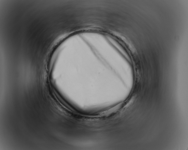 X0000087061363200705161003