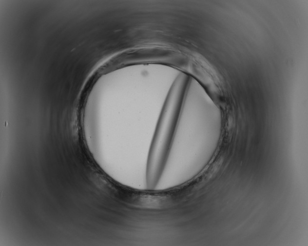 X0000087061364200705161003