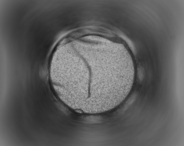 X0000087061368200705161003