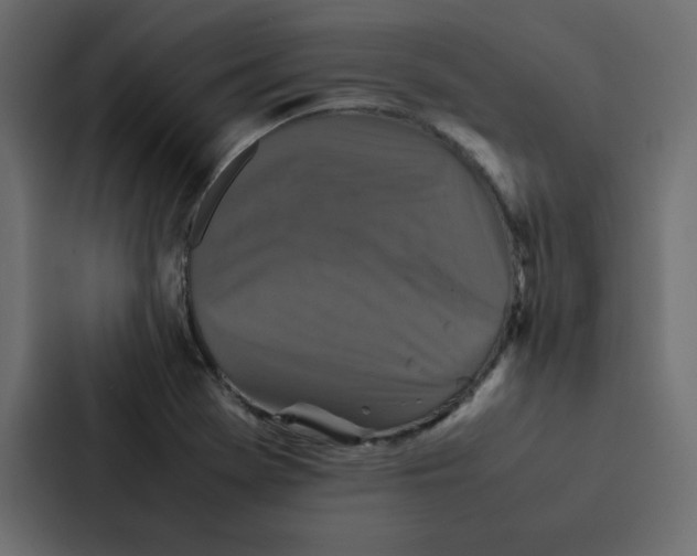 X0000087061369200705161003