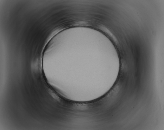 X0000087061370200705161003